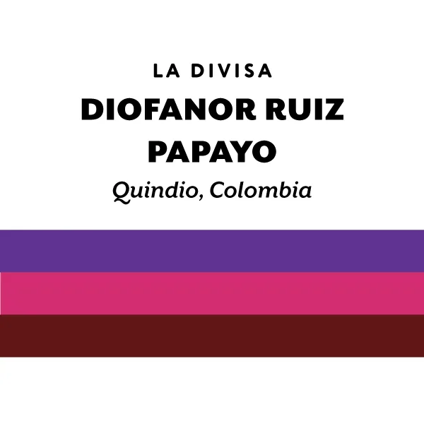 colombia diofanor ruiz papayo, colombia coffee from h&s coffee roasters