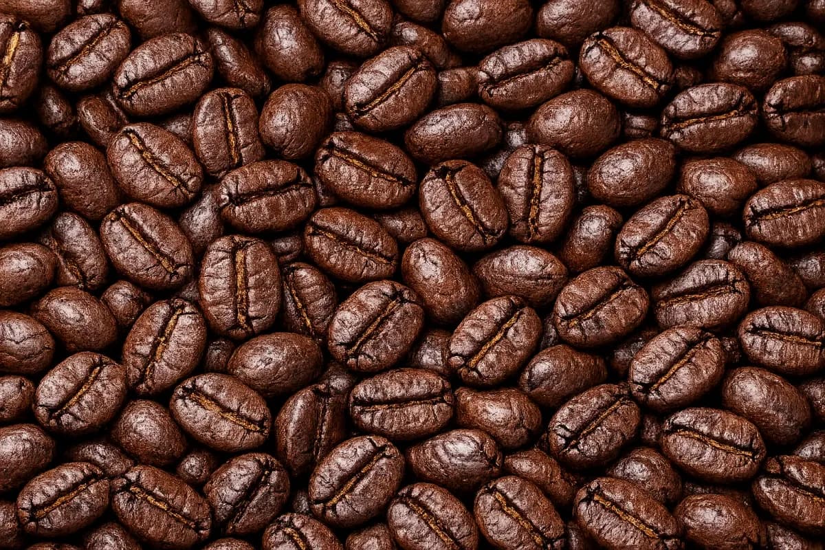 java wine roasted coffee beans, indonesia coffee from pt. indonesia specialty coffee
