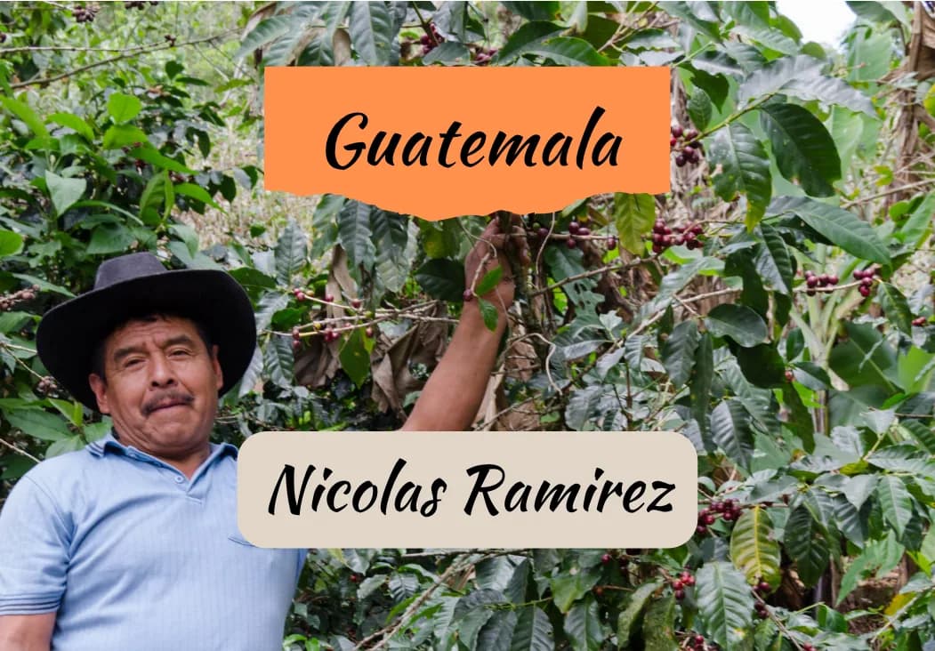 guatemala | nicolas ramirez, guatemala coffee from draft coffee roasters