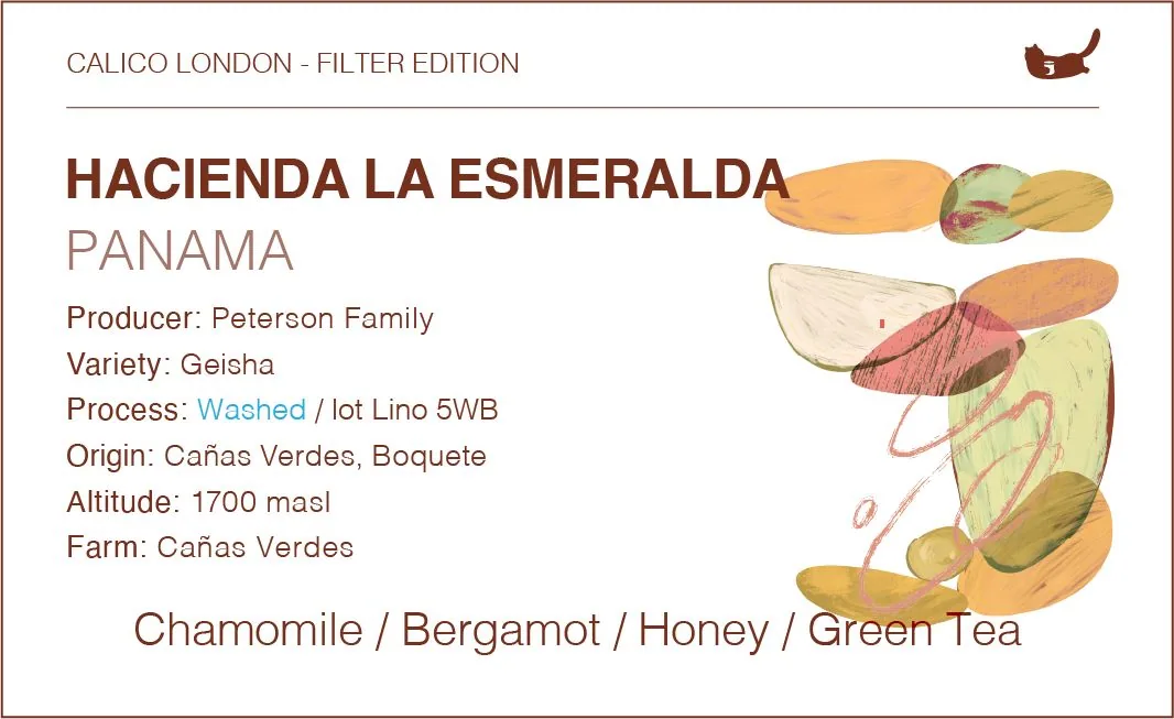 panama hacienda la esmeralda geisha - washed, panama coffee from calico coffee