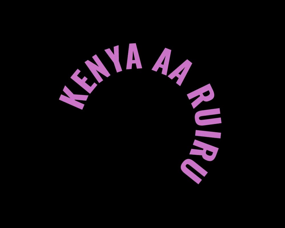 kenya aa ruiru (washed), kenya coffee from black lab coffee roasters queenstown