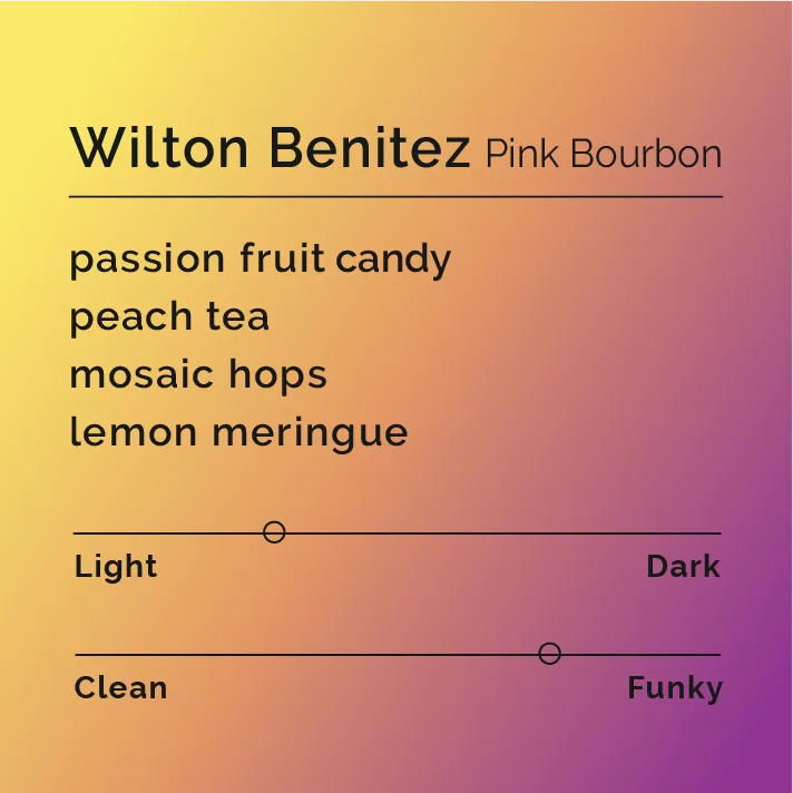 wilton benitez - pink bourbon, colombia coffee from black & white coffee roasters