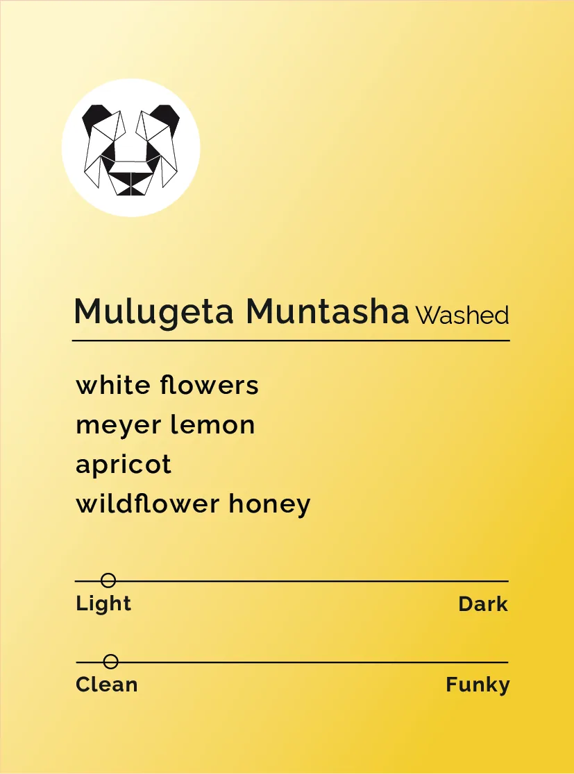 mulugeta muntasha - washed, ethiopia coffee from black & white coffee roasters