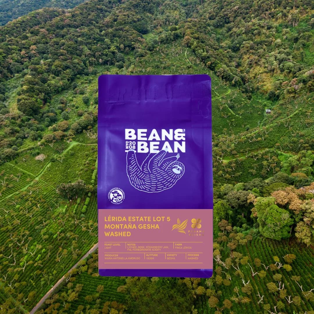 panama lérida estate lot 5 montaña gesha washed, panama coffee from bean & bean queens — roastery & cafe