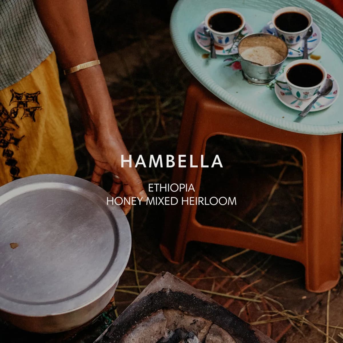 hambella, ethiopia coffee from mazelab