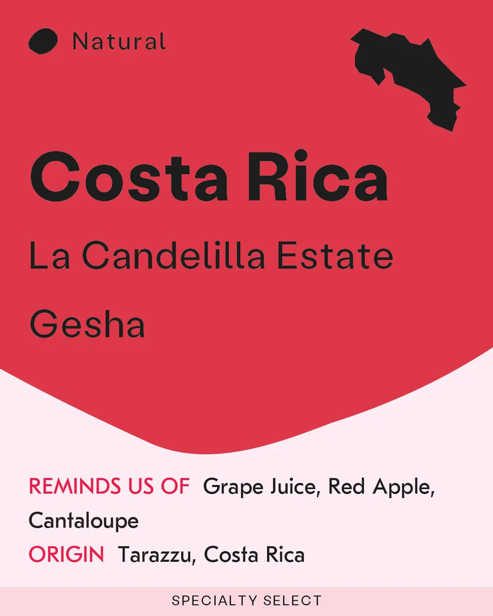 costa rica, la candelilla gesha, costa rica coffee from sk coffee: whittier