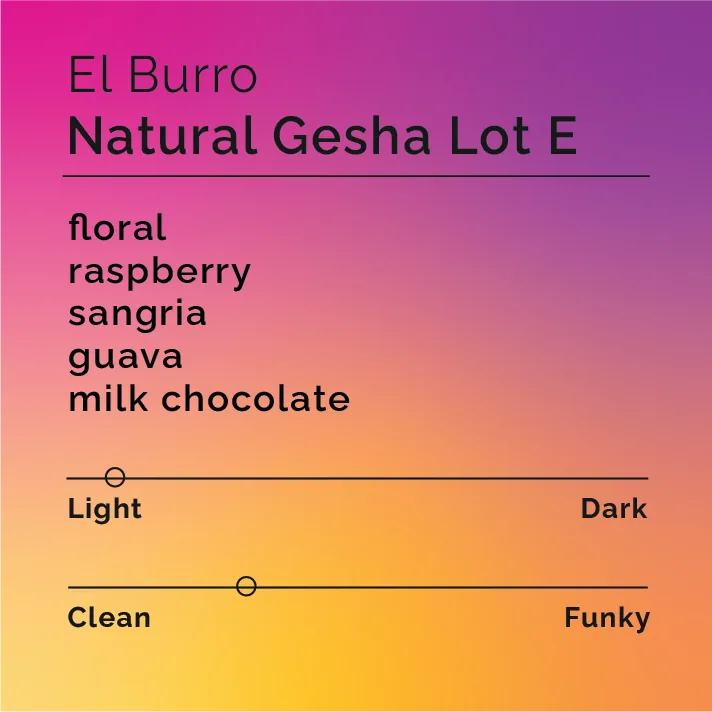 el burro - natural gesha lot e, panama coffee from black & white coffee roasters