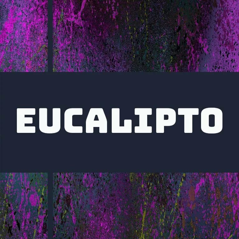 peru eucalipto, peru coffee from django coffee co.