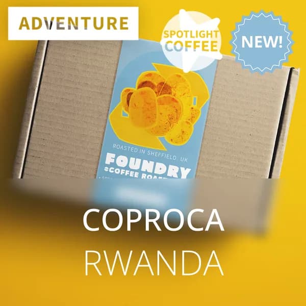 coproca - rwanda, rwanda coffee from foundry coffee roasters