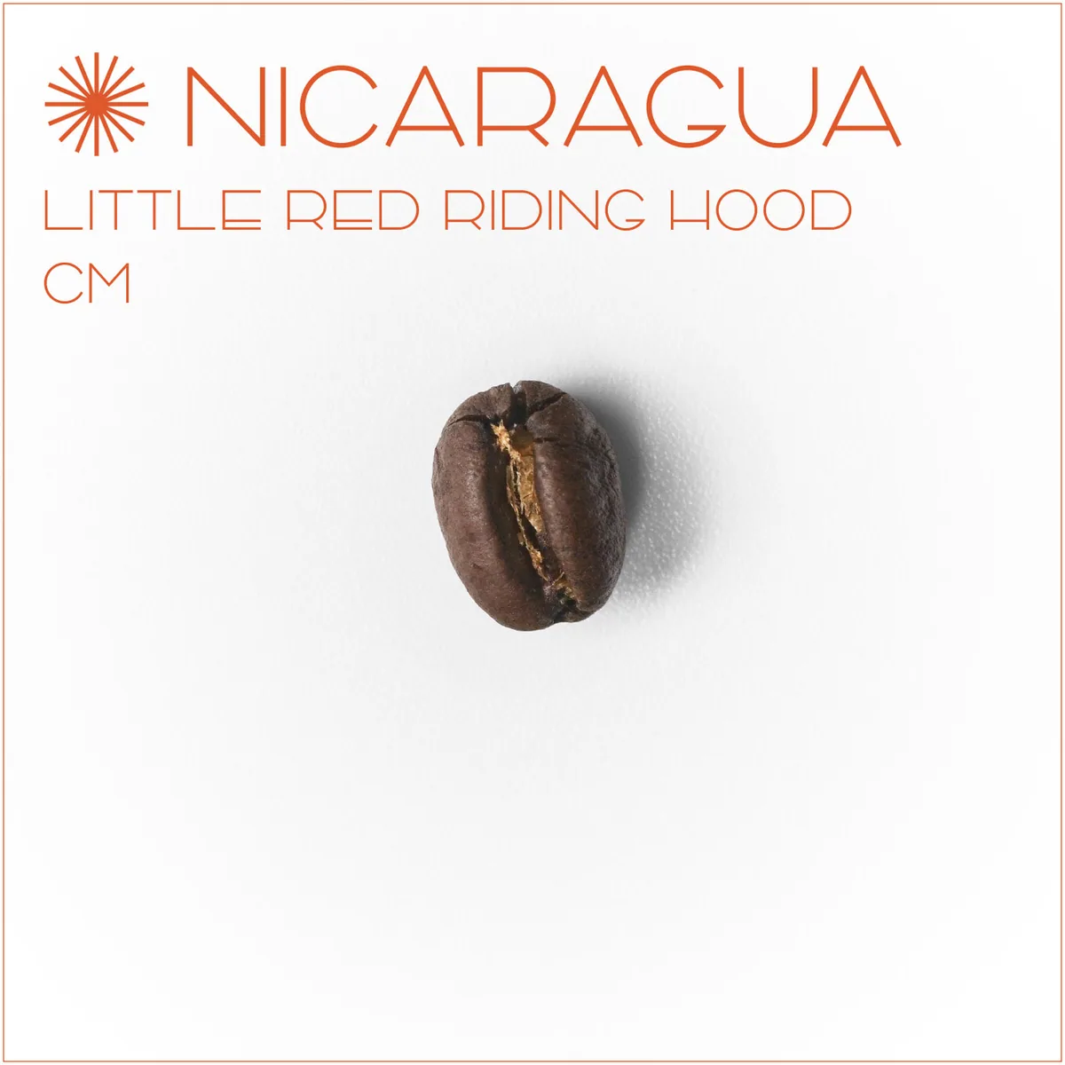 니카라과 리틀 레드 라이딩 후드 cm, nicaragua coffee from el cafe coffee roasters