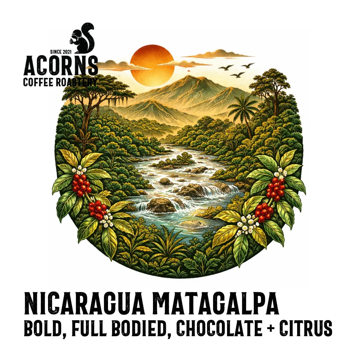 nicaragua matagalpa, nicaragua coffee from acorns coffee and cake