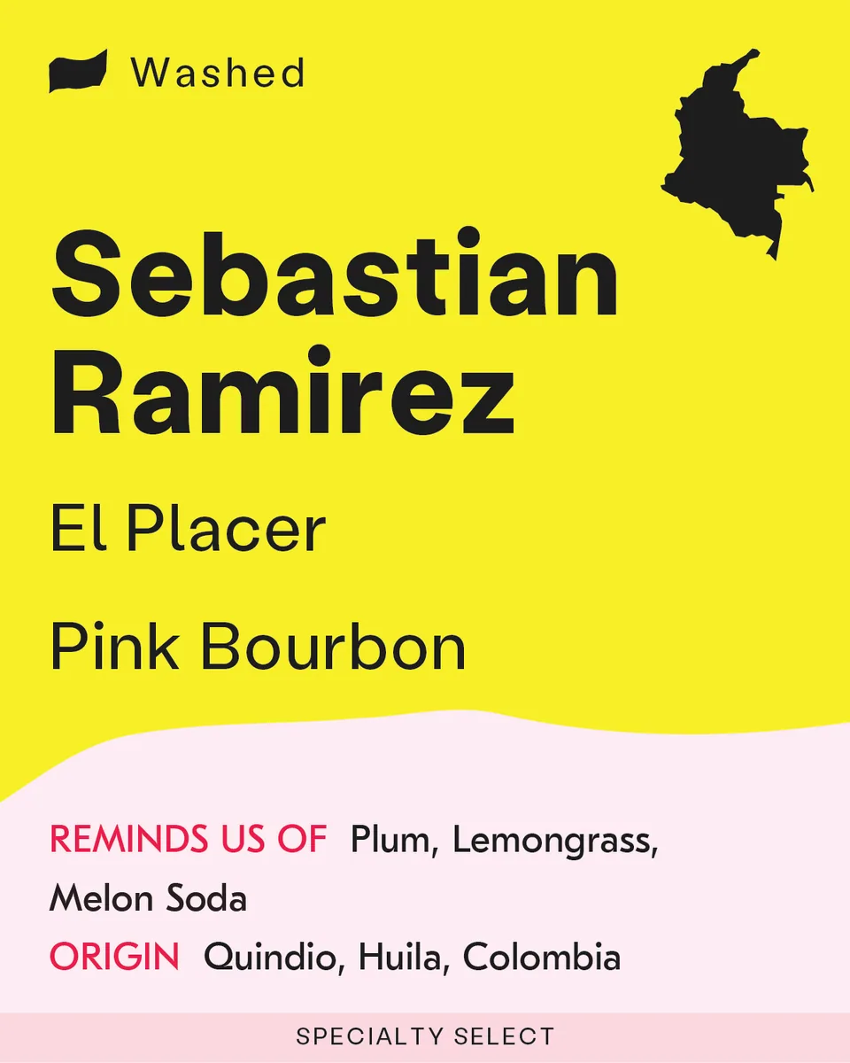 colombia, sebastian ramirez - pink bourbon, colombia coffee from sk coffee: coffee bar & roastery