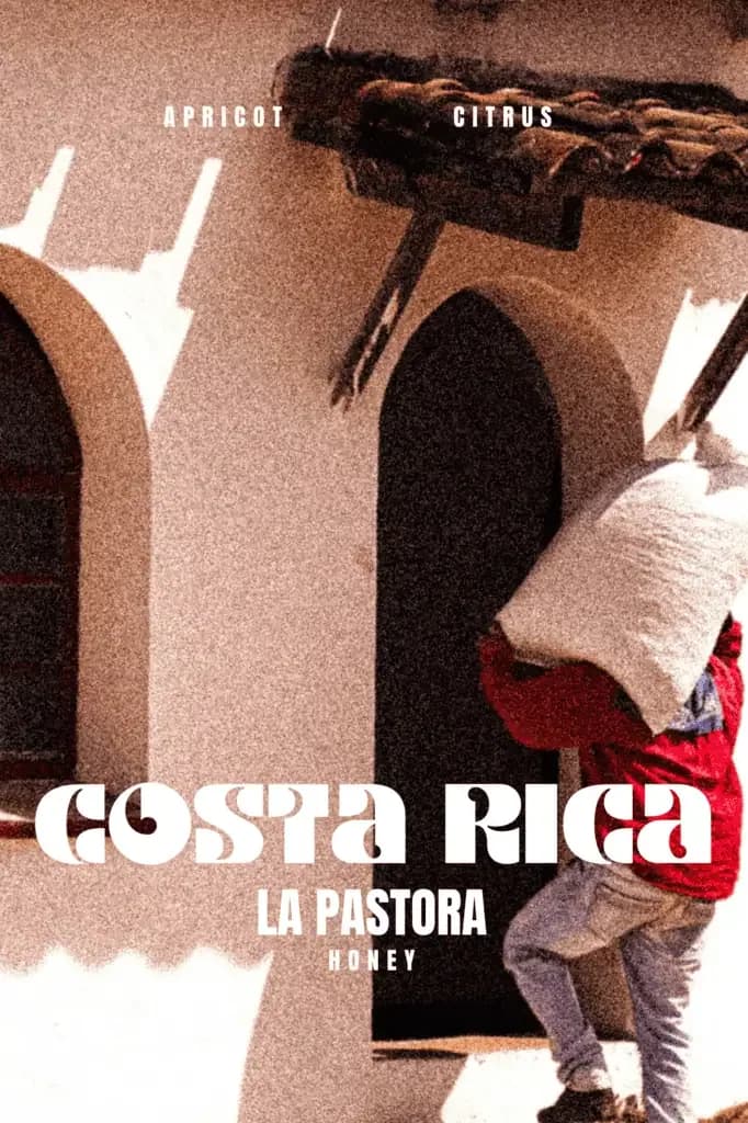 costa rica – la pastora, costa rica coffee from marshall street coffee