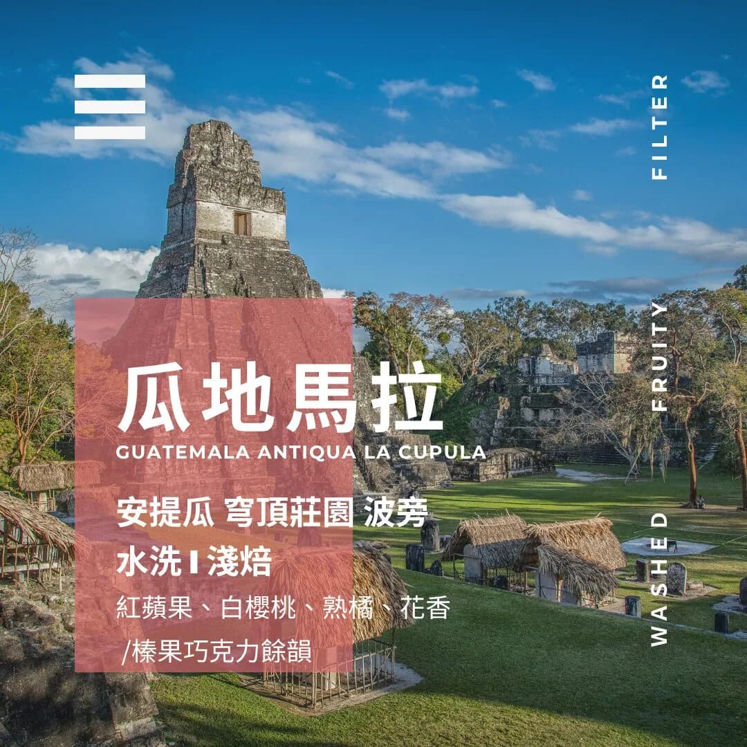 瓜地馬拉 ▸ 安提瓜 穹頂莊園 波旁, guatemala coffee from 燃木咖啡研究所_咖啡豆販售專門