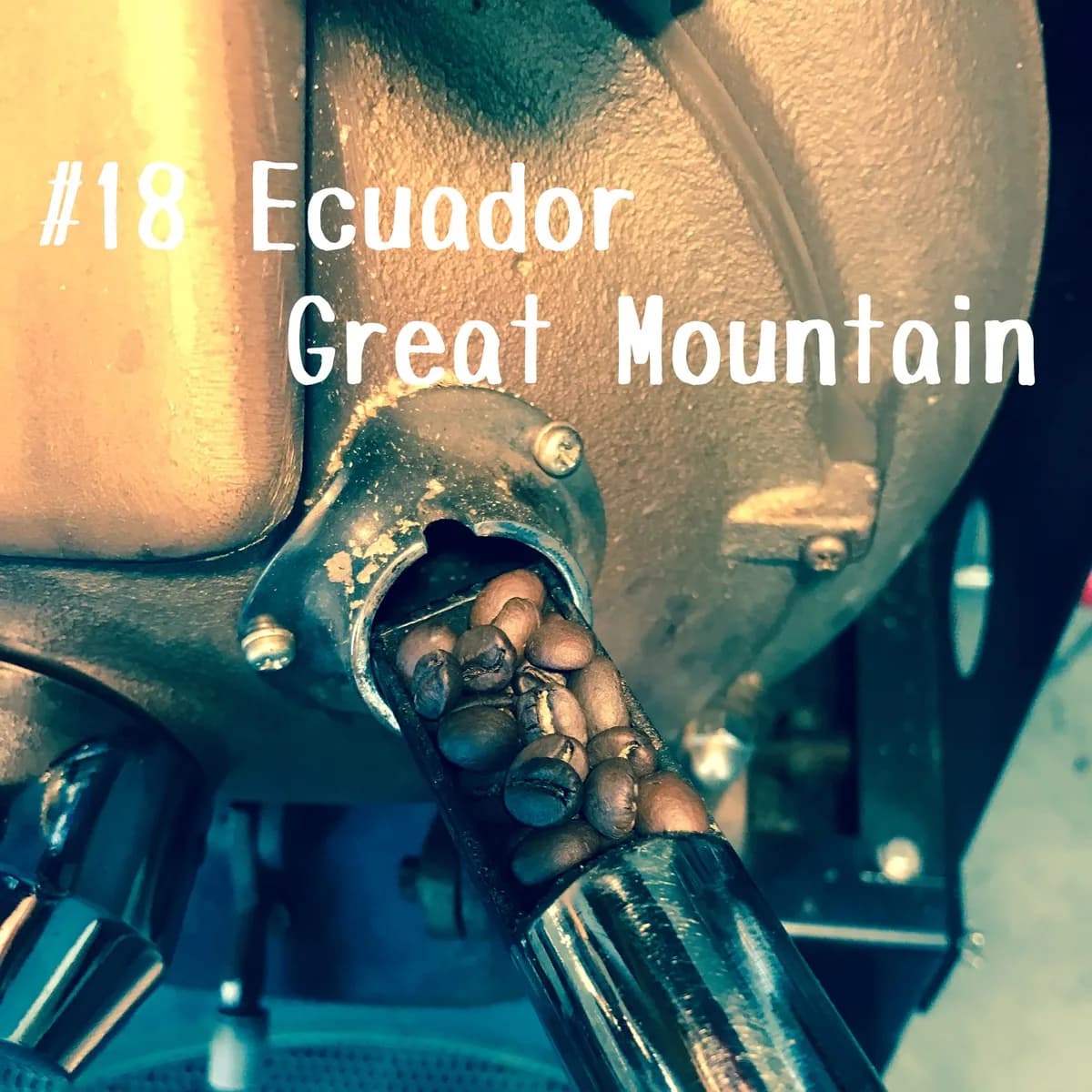 #18 エクアドル グレート マウンテン(中煎り100g), ecuador coffee from スコップビーン田町焙煎所(schopbean田町)