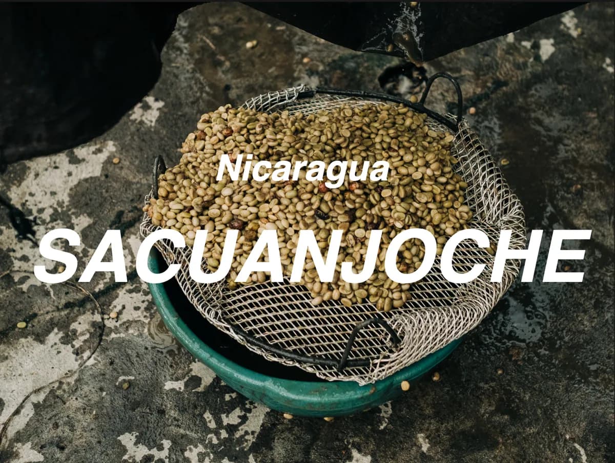 尼加拉瓜 緬梔花 爪哇 水洗 (nicaragua nueva segovia sacuanjoche java washed), nicaragua + indonesia coffee from moonshine coffee roasters | 私釀咖啡商行 (敦南旗艦店)