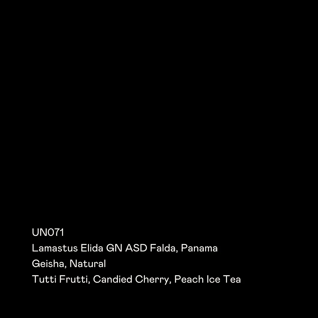 un071 - lamastus elida gn asd falda, geisha natural, panama coffee from special guests