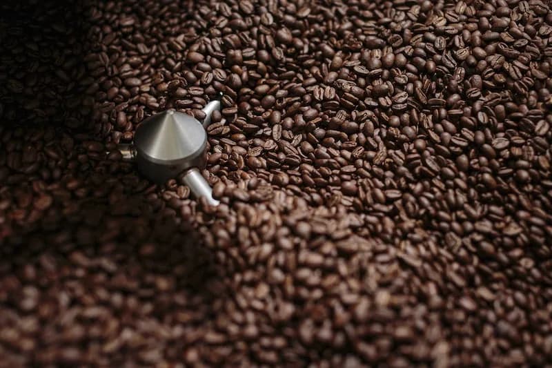 nicaragua washed roasted coffee - 10lb barrel, nicaragua coffee from nossa familia coffee