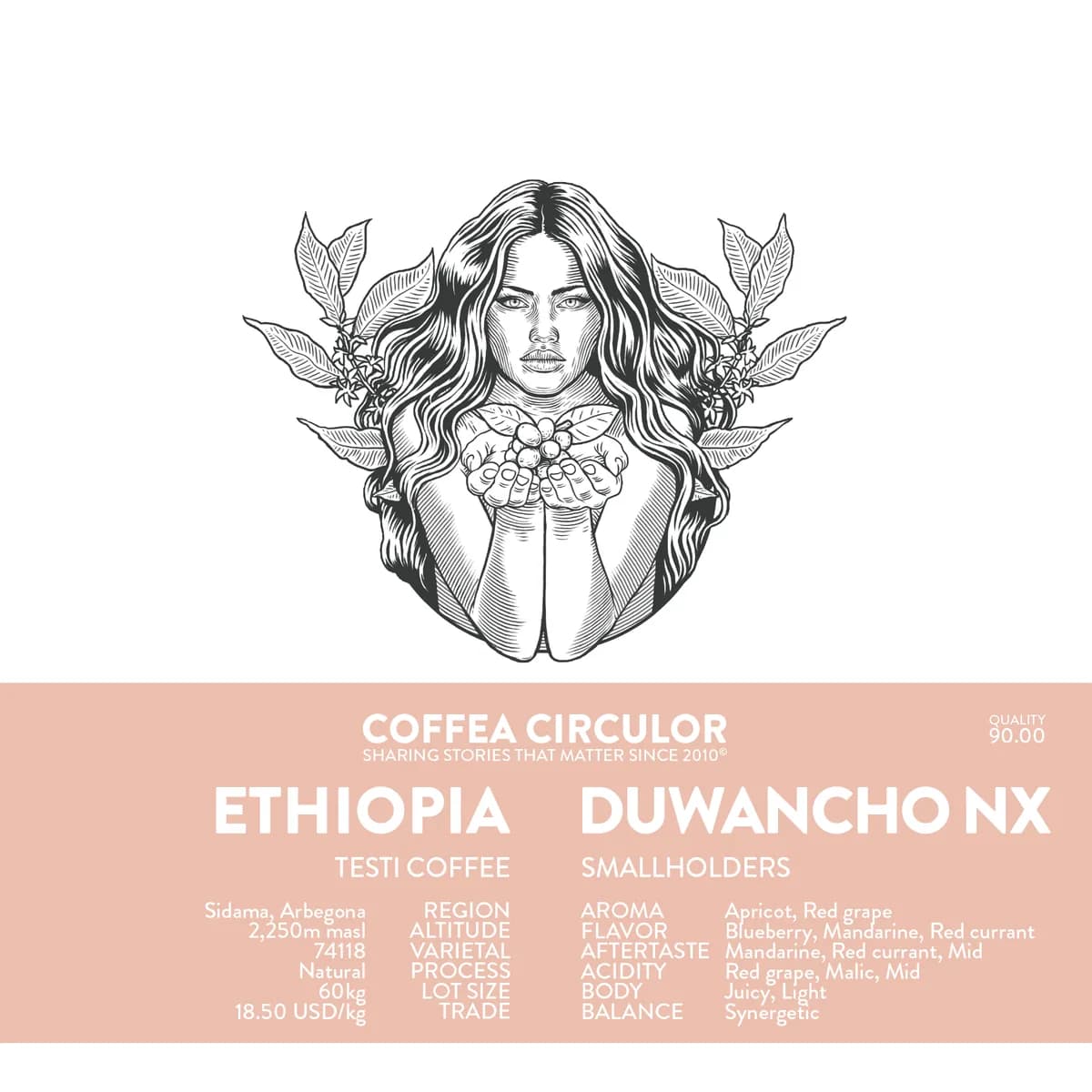 ethiopia duwancho natural nx, ethiopia coffee from coffea circulor