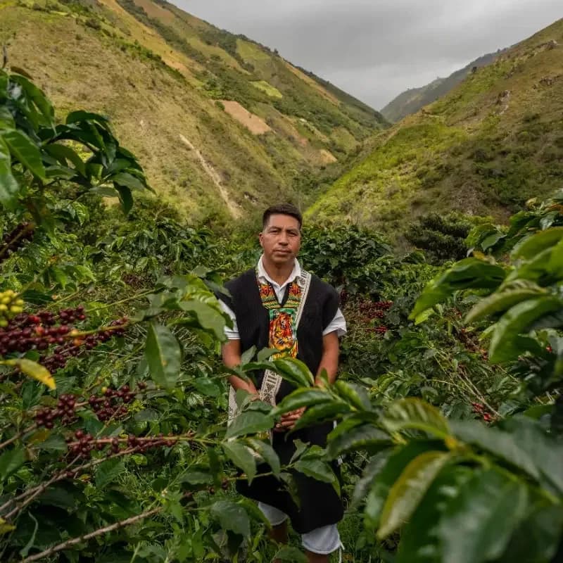 colombia -tablon de gomez project, colombia coffee from neighbourhood coffee roasters