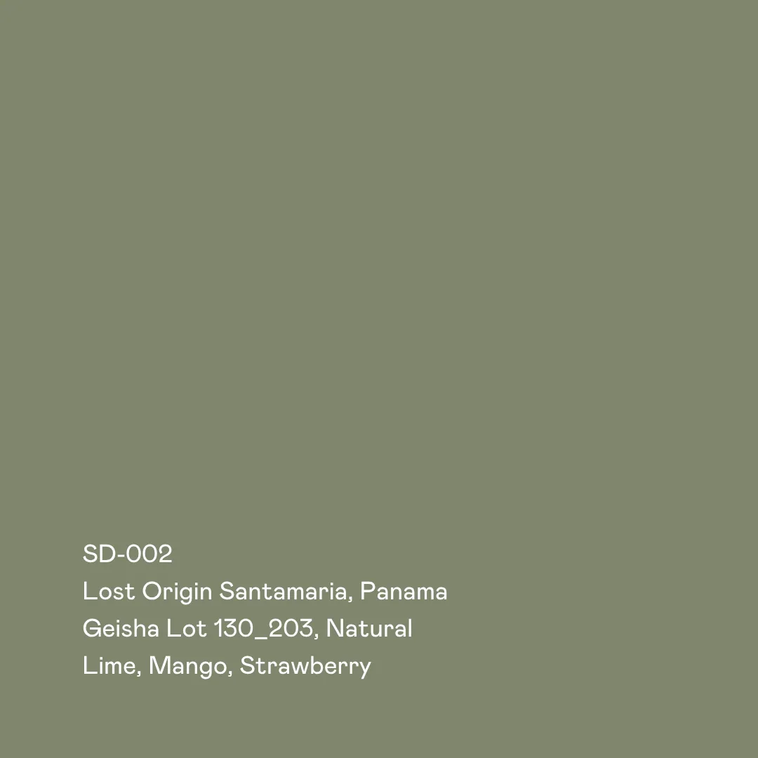sd-002 - lost origin santamaria, geisha lot 130_203 natural, panama coffee from special guests