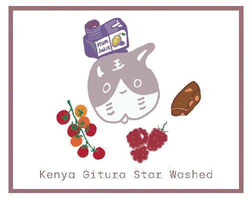 kenya sl28/sl34, kenya coffee from fufu coffee studio