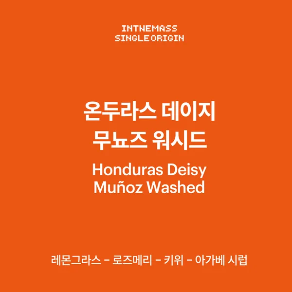 온두라스 데이지 무뇨즈 60g, honduras coffee from inthemass
