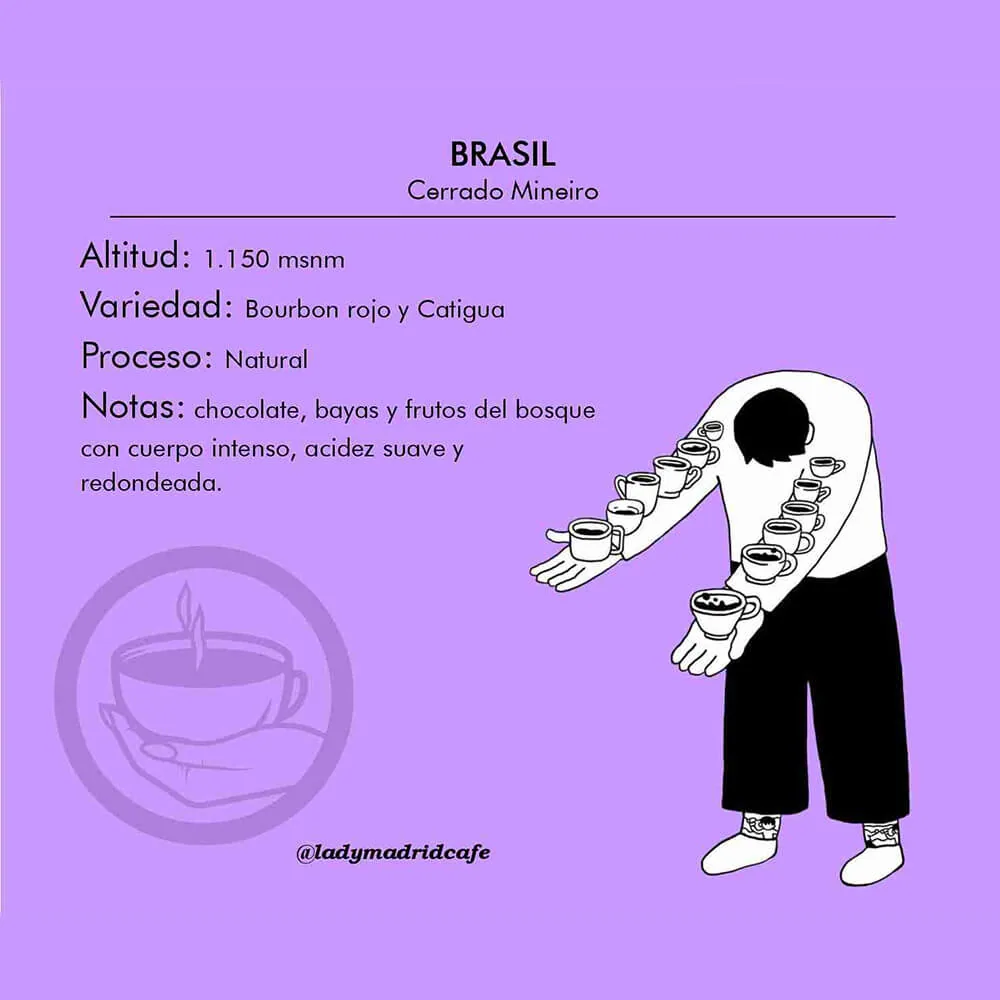 café brasil – región cerrado mineiro, brazil coffee from lady madrid roaster y speciality coffee
