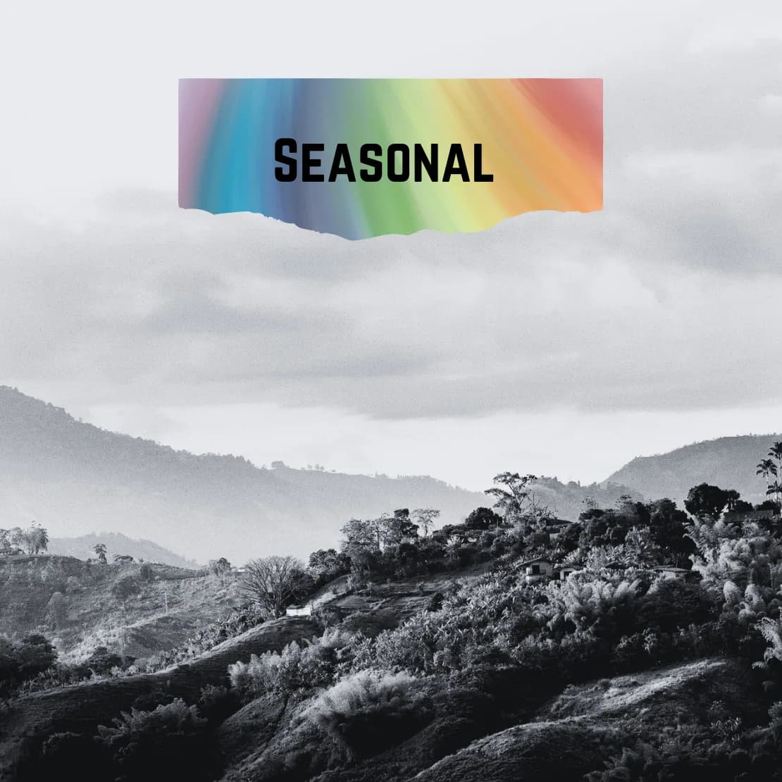 seasonal blend, colombia + brazil + guatemala coffee from draft coffee roasters