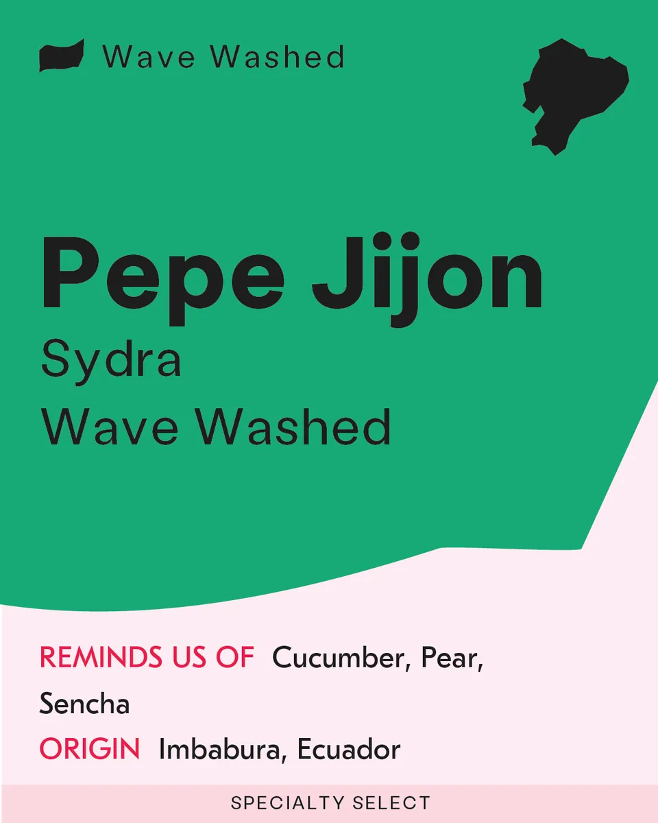 pepe jijon - sydra wave washed, ecuador coffee from sk coffee: coffee bar & roastery