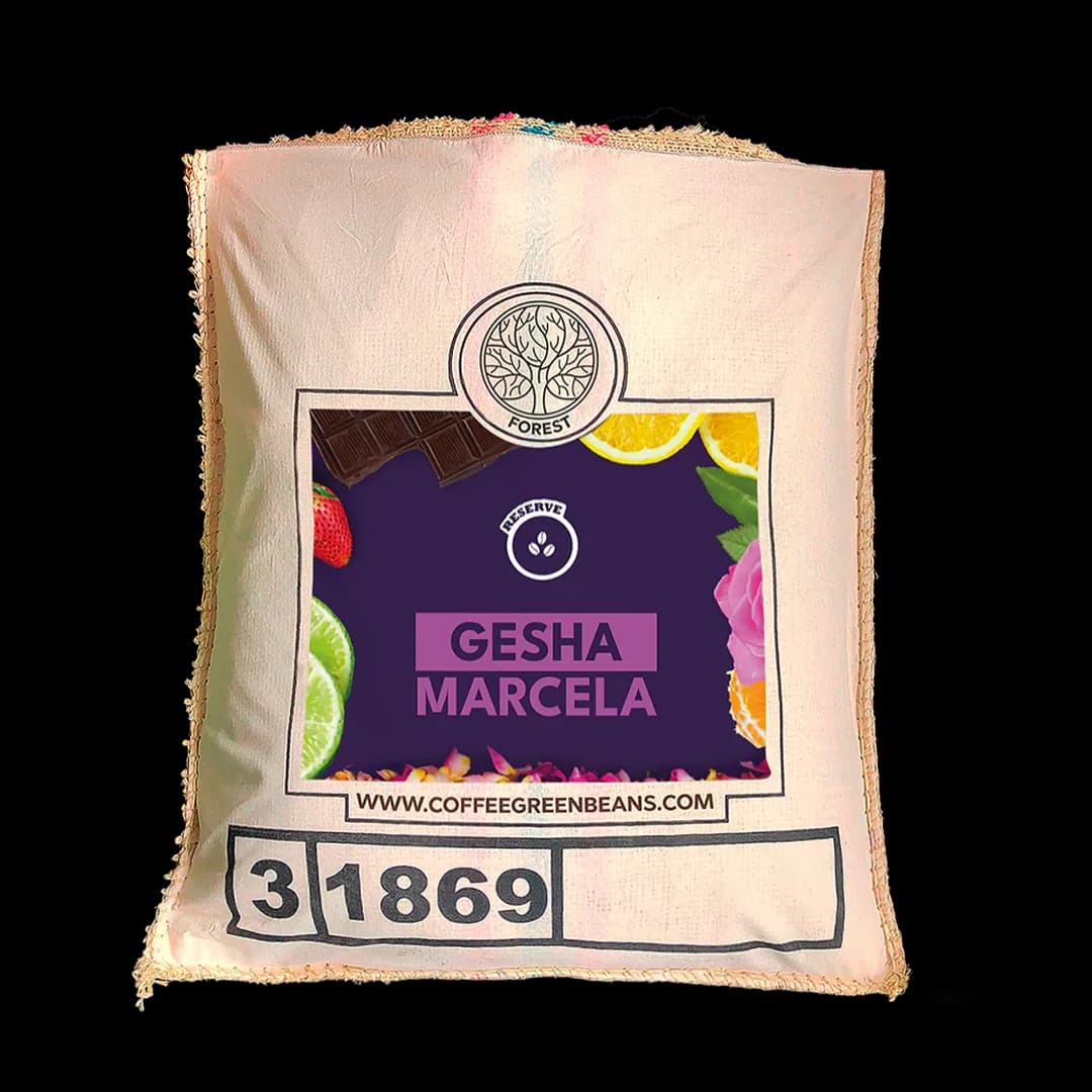 'gesha marcela' single origin green coffee, colombia coffee from black vice coffee roasters