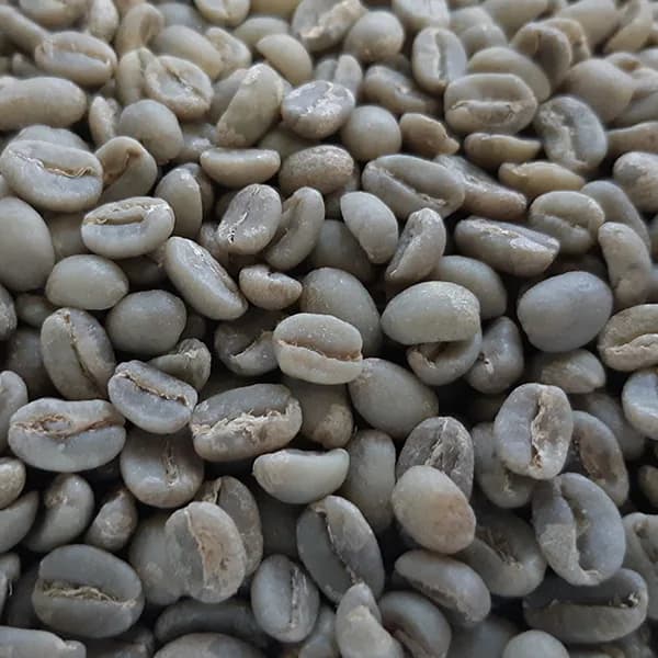 ethiopian gutity gargari washed unroasted green coffee beans 1kg, ethiopia coffee from chiasso coffee roasters
