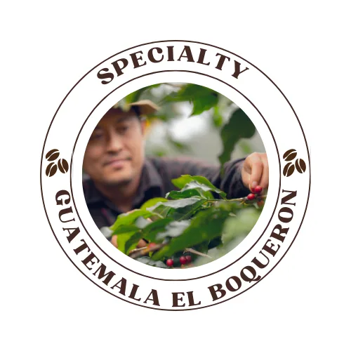 guatemala el boqueron natural- 250g, guatemala coffee from quists coffee