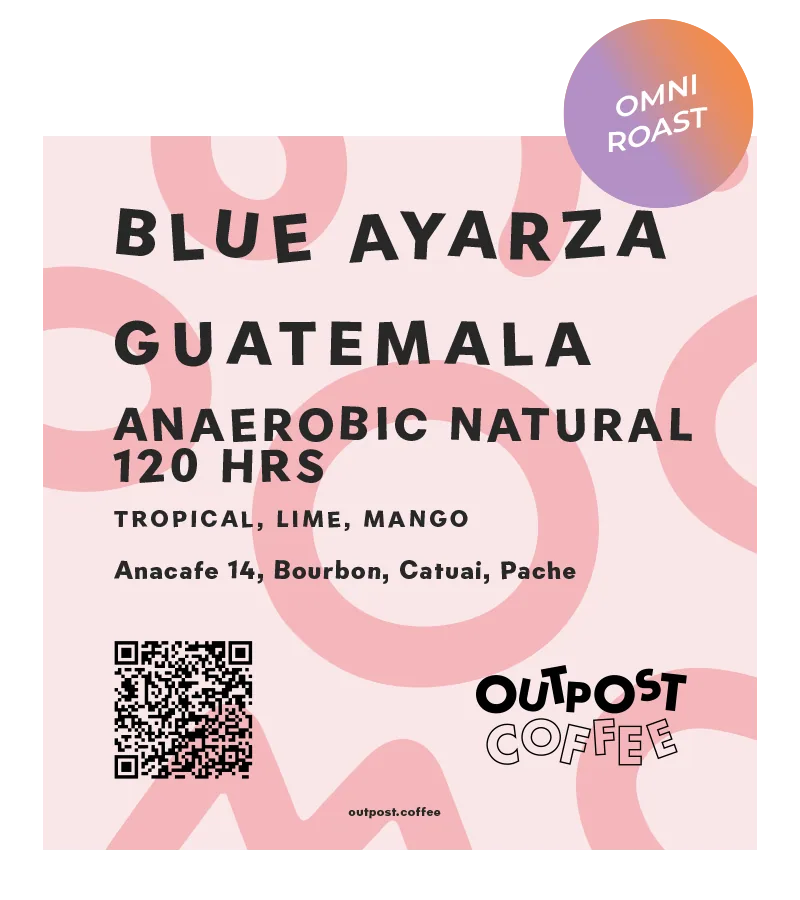 blue ayarza, anaerobic natural 120hrs fermentation, guatemala, guatemala coffee from outpost coffee roasters
