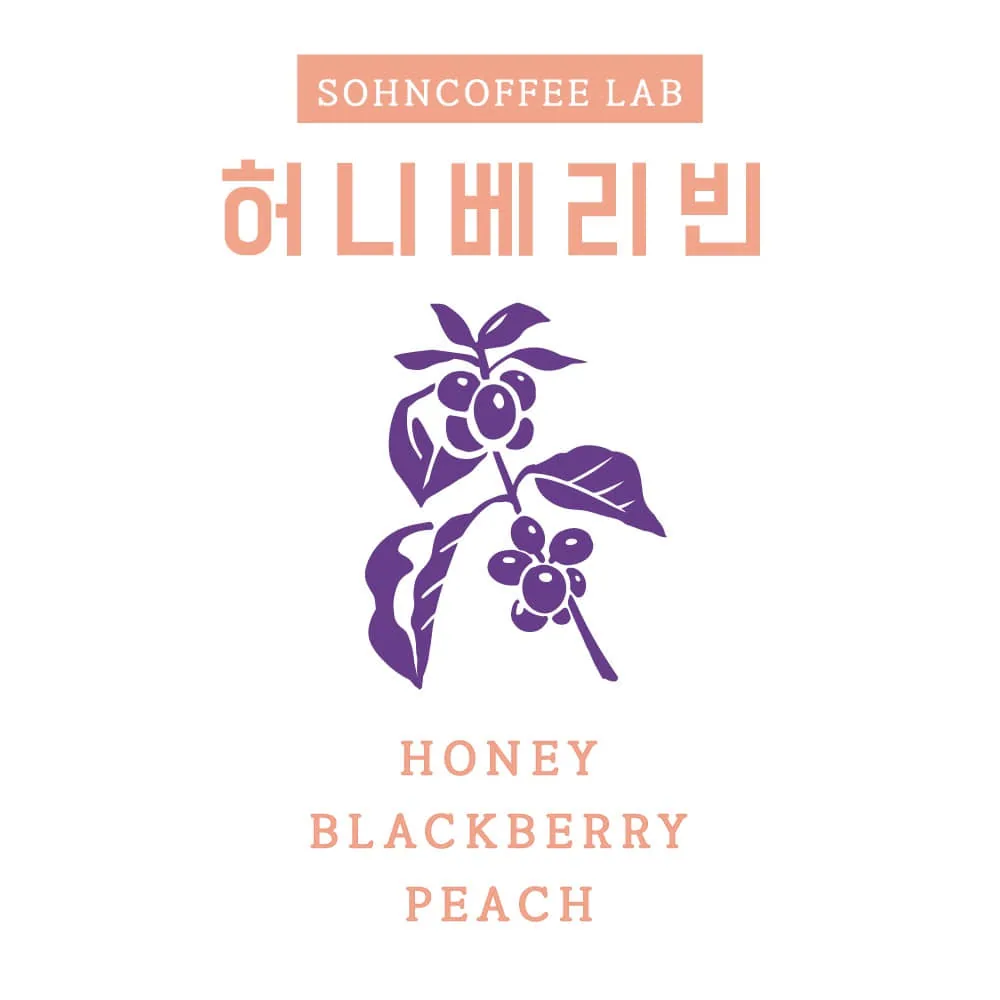 허니베리빈 200g, ethiopia coffee from 손커피연구소 의왕삼동점