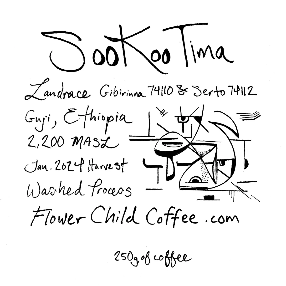 sookoo tima, ethiopia coffee from flower child