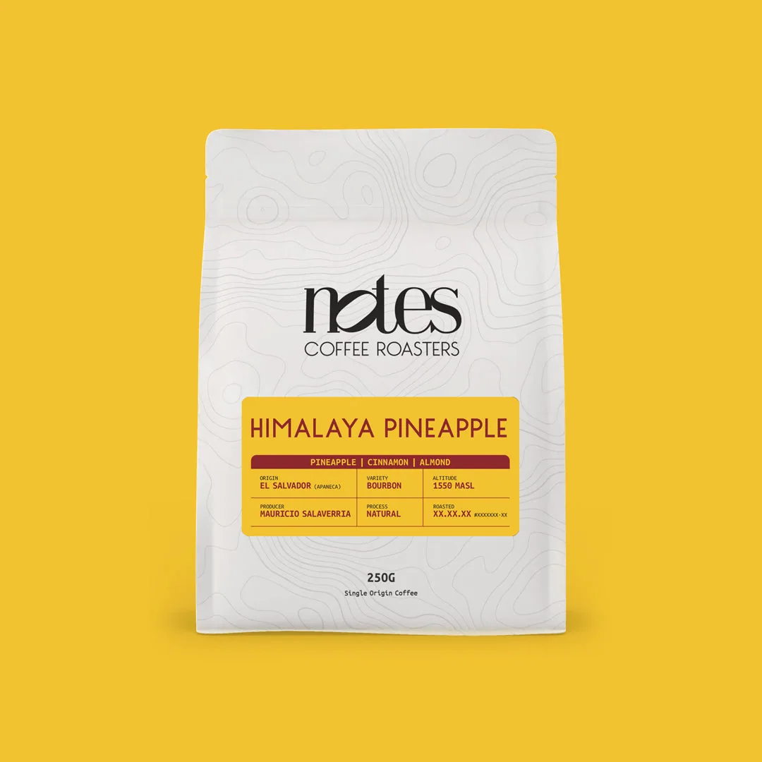 himalaya pineapple | el salvador, el salvador coffee from notes coffee roasters