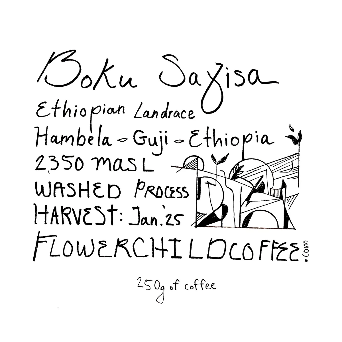 boku sayisa, ethiopia coffee from flower child