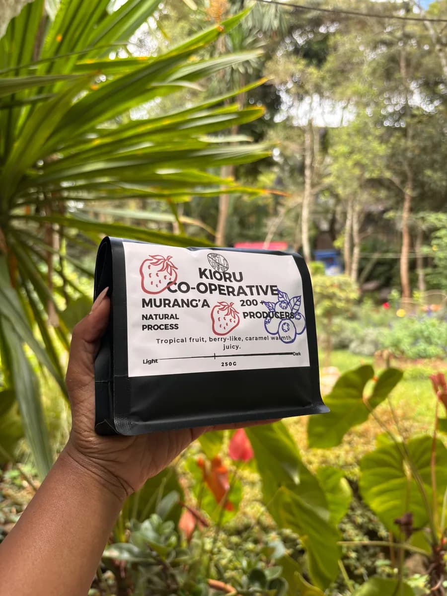 kioru co- operative, kenya coffee from coffee lab nairobi