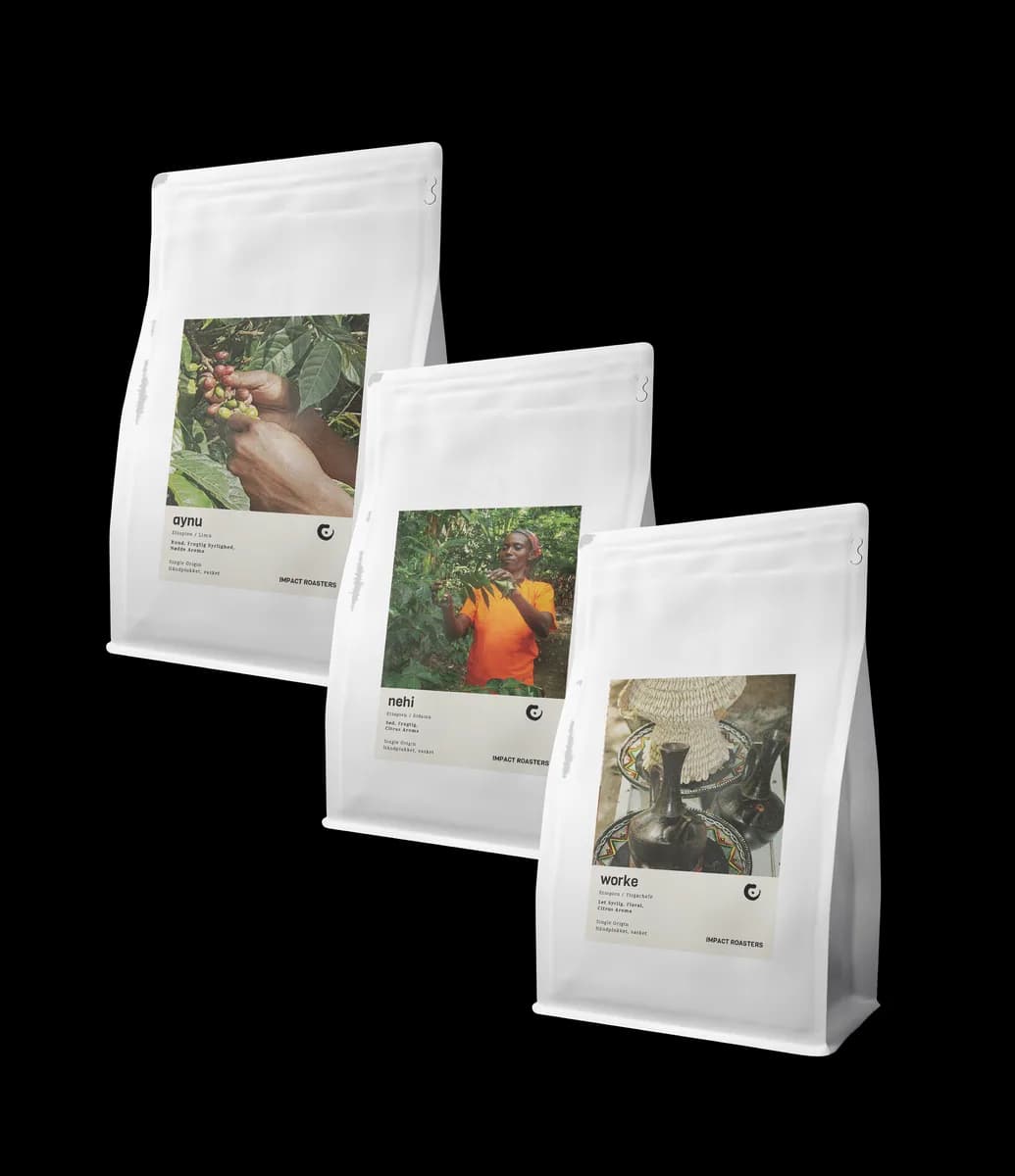 filter trio – 3 x 200g medium roasted coffee, ethiopia coffee from impact roasters