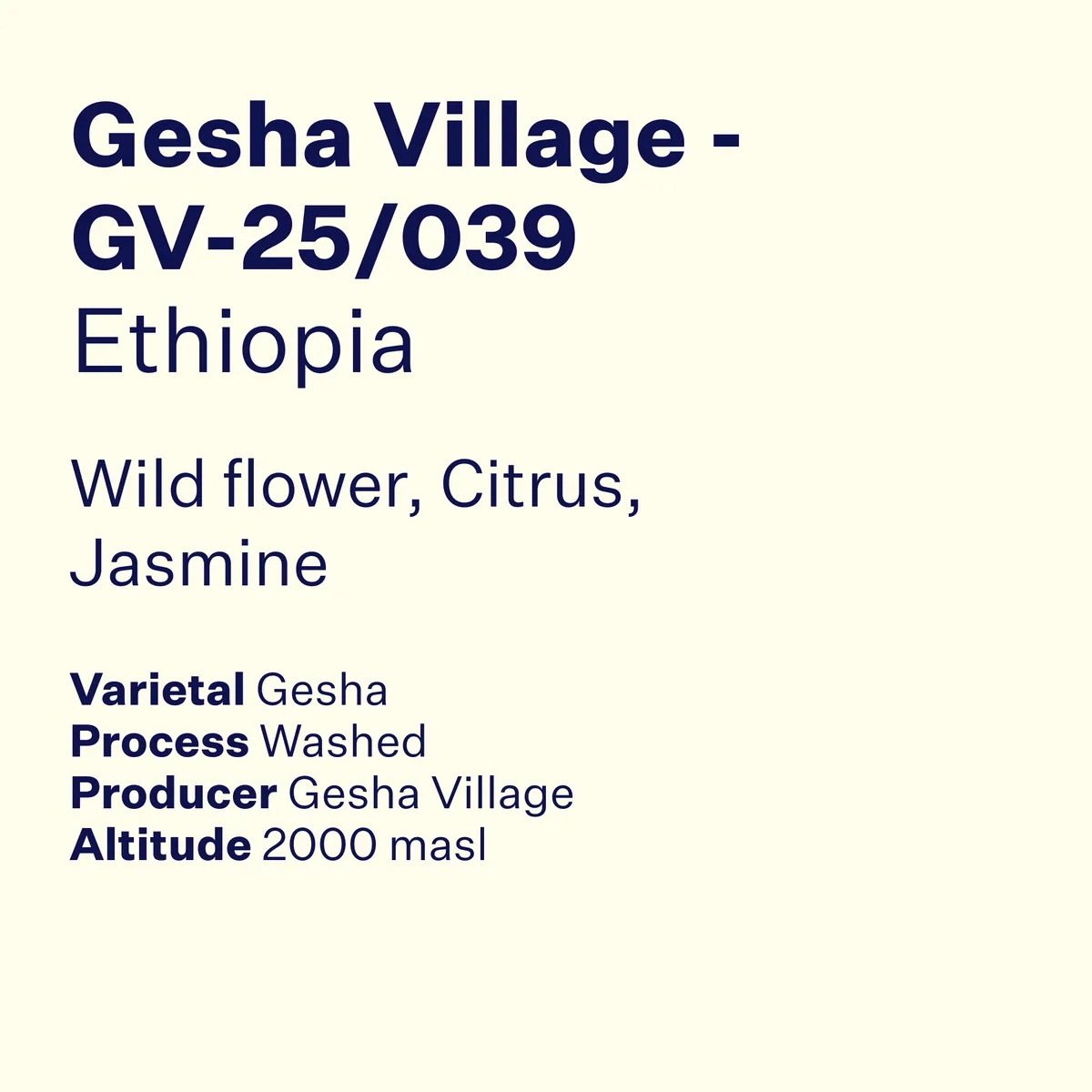 ethiopia gesha village lot gv-25/039, ethiopia coffee from high note roasters