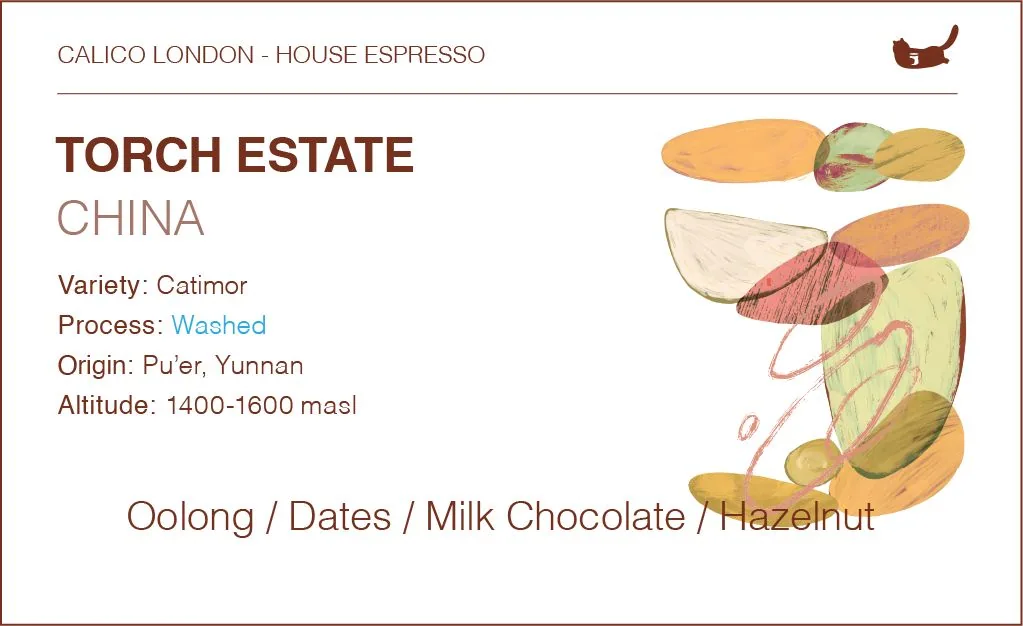 china torch estate catimor house espresso - traditional washed, yunnan coffee from calico coffee