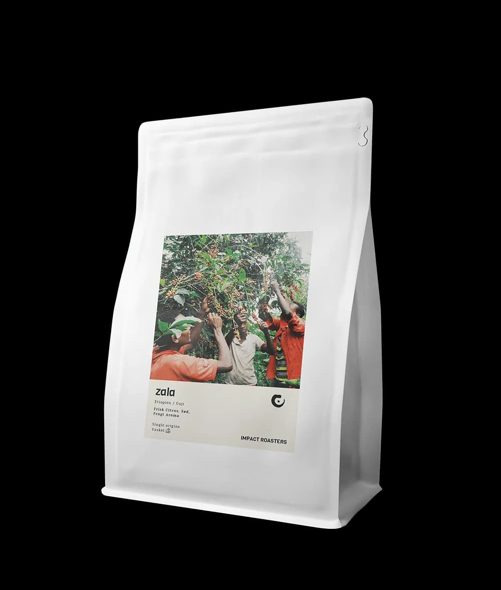 coffee beans - zala - guji - (new), ethiopia coffee from impact roasters