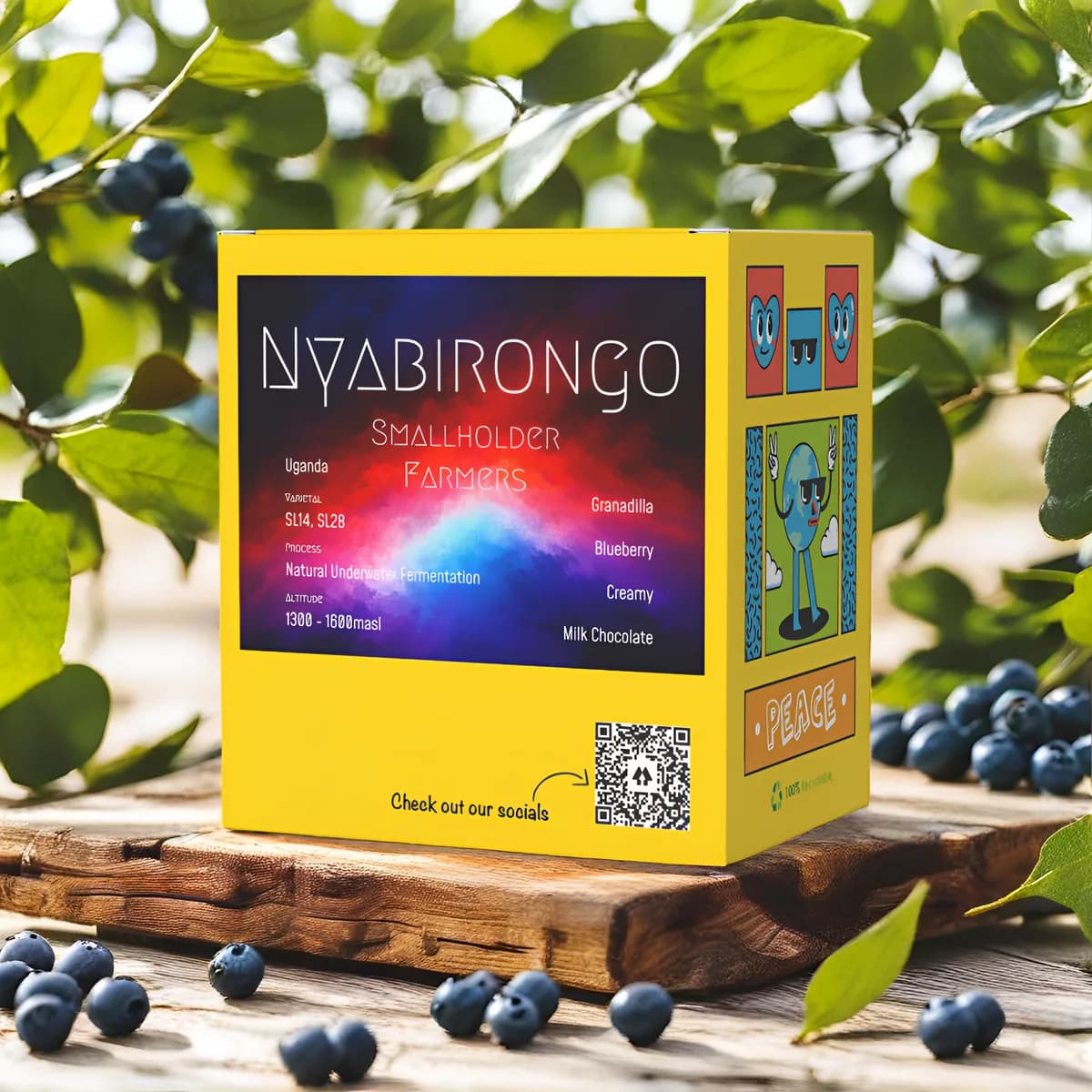 uganda - nyabirongo - anaerobic natural, uganda coffee from yellow jacket coffee roaster