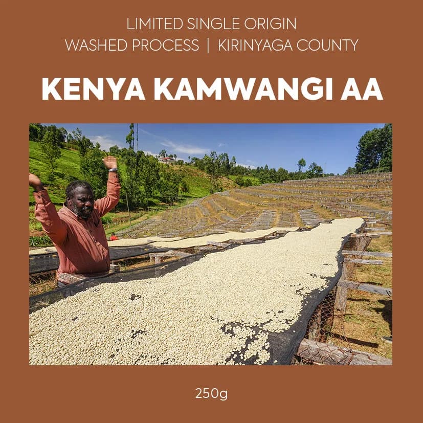 single origin - kenya kamwangi aa, kenya coffee from toasted coffee roasters