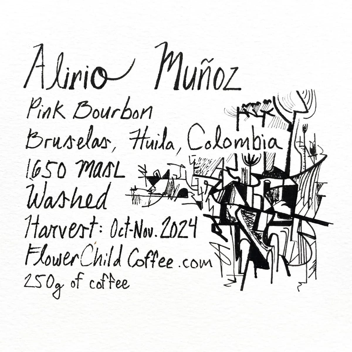 alirio muñoz, colombia coffee from flower child