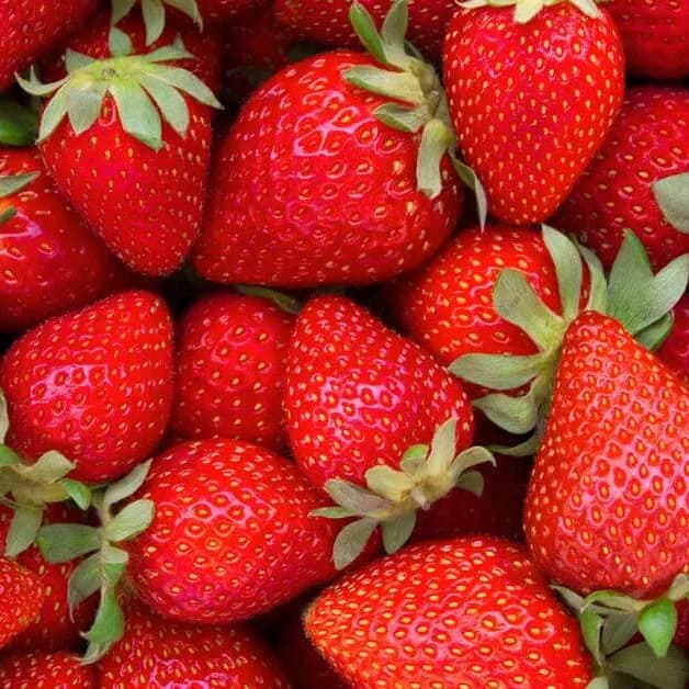 special release: colombia strawberry wine - filter roast, colombia coffee from double roasters cafe