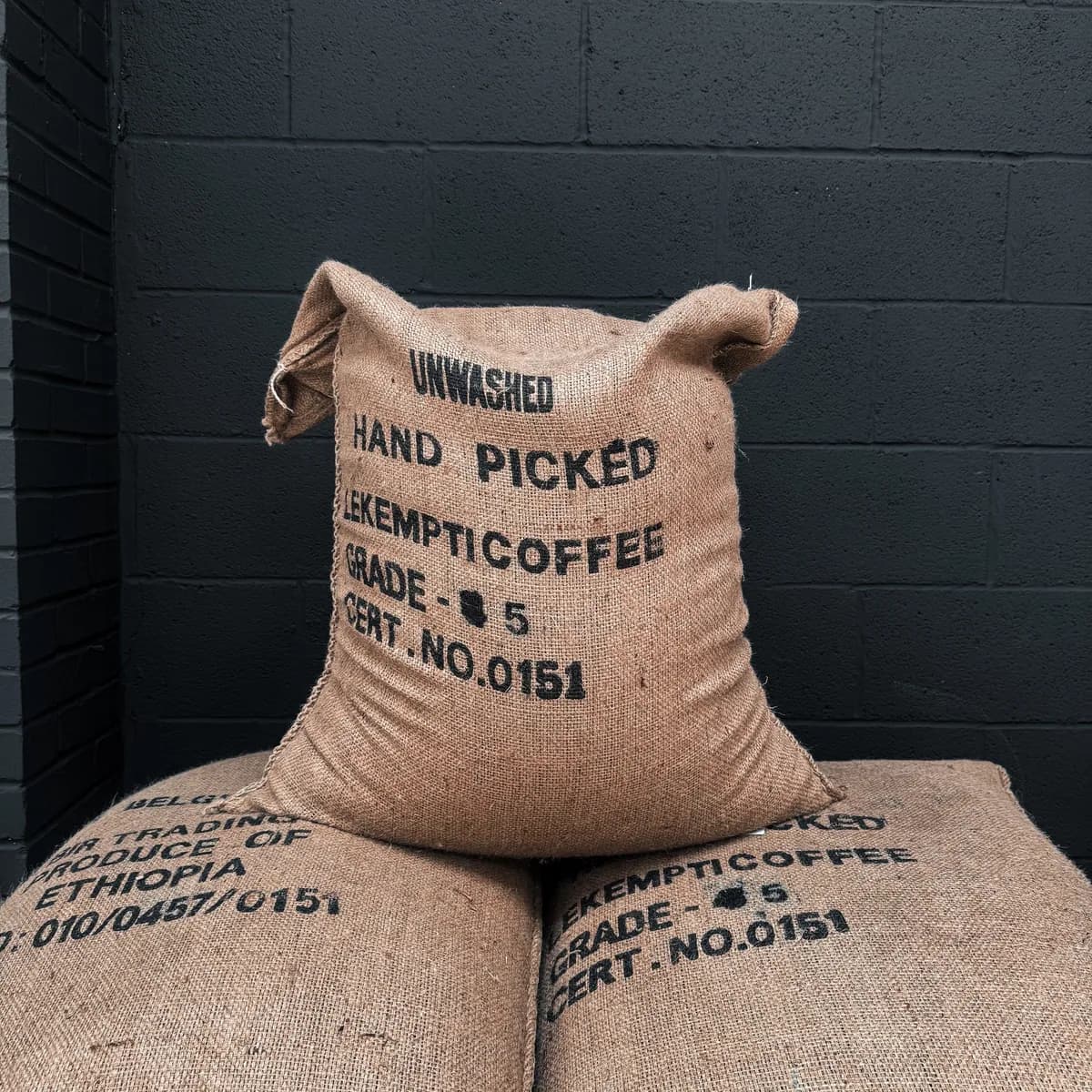 ethiopian lekempti green coffee beans, ethiopia coffee from tropic coffee ltd