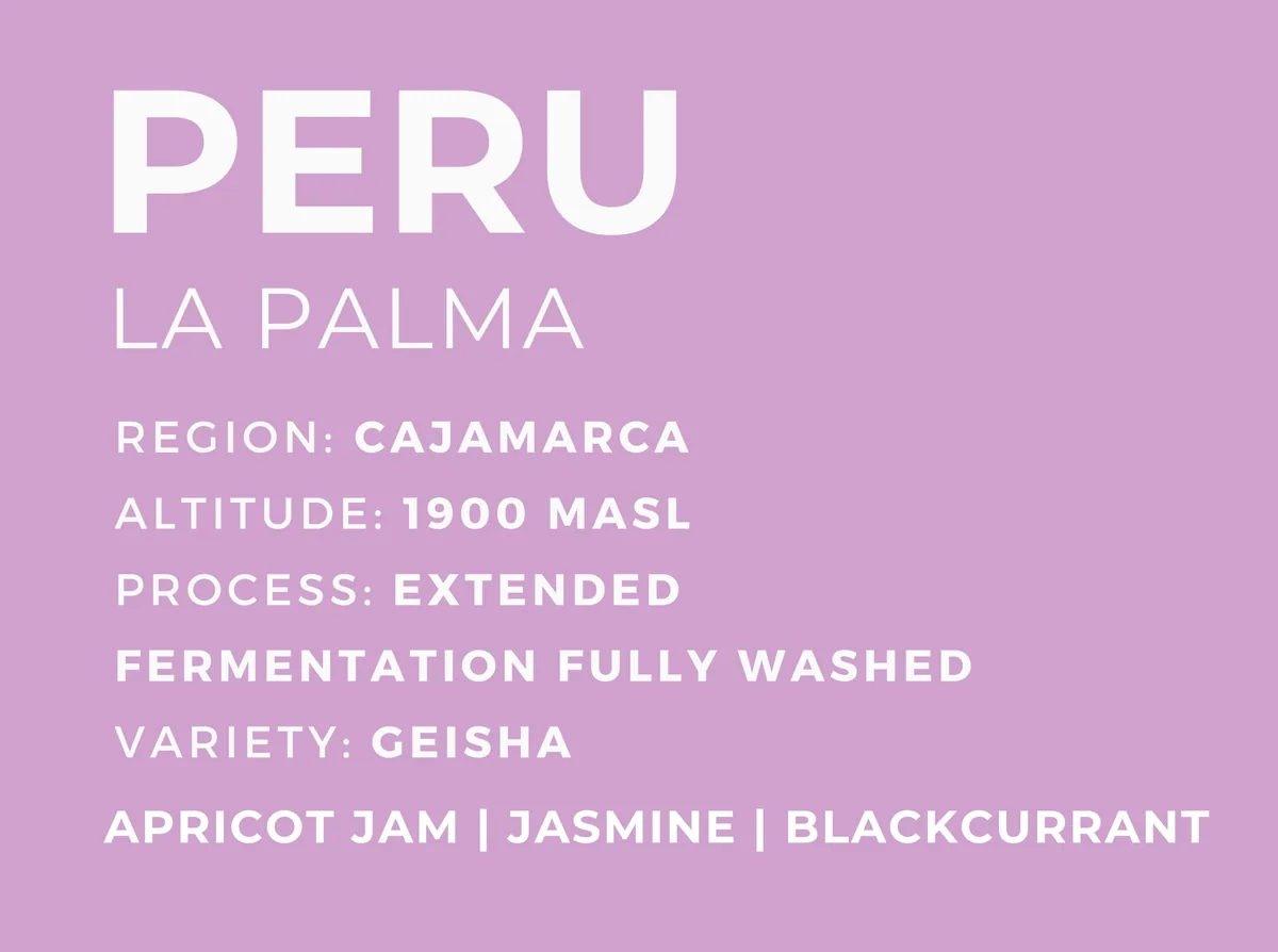 peru la palma, peru coffee from patio coffee roasters