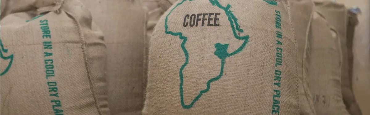 kenya aa coffee, kenya coffee from weaver's coffee & tea - san rafael cafe